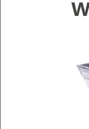 Enchantment Series ZC-BD4001 Solar Wall Light