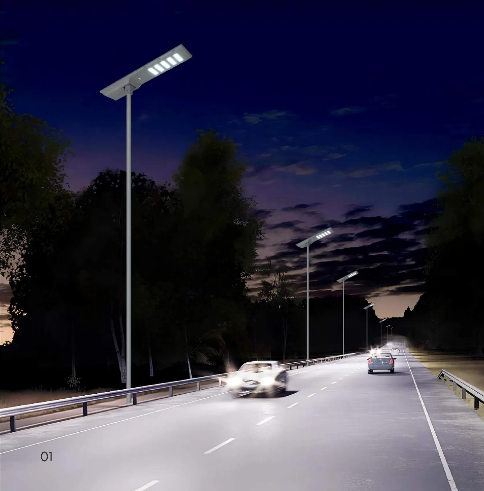 Enchantment Series ZC-LDB120 Solar Street Light